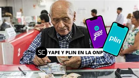 Yape Y Plin Llegan A La Onp Desde Cu Ndo Podr Realizar Mis Aportes