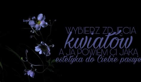 Wybierz zdjęcia kwiatów a ja powiem Ci jaka estetyka do Ciebie pasuje