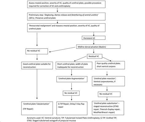 Algorithm Followed For Proximal Mid Penile Hypospadias Repair In The Download Scientific