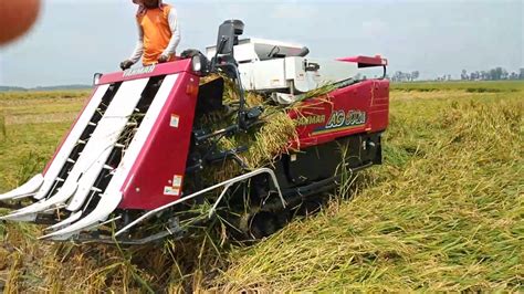 Amazing Rice Harvester In Japan Yanmar Combine Harvester Rice