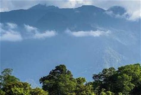 Pico Bonito National Park, Honduras - Paperblog