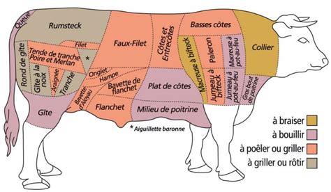 Anatomie D O Viens Ce Morceau Ferme De Prebavin