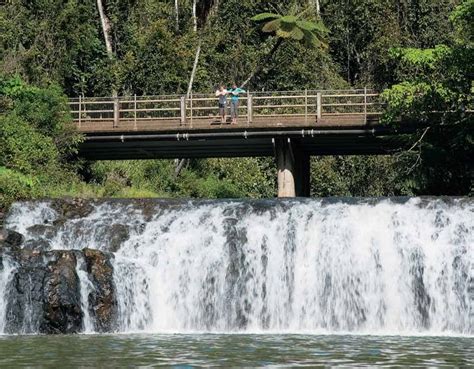 Atherton Tablelands Waterfalls – The 10 BEST Cascades to See – NOMADasaurus