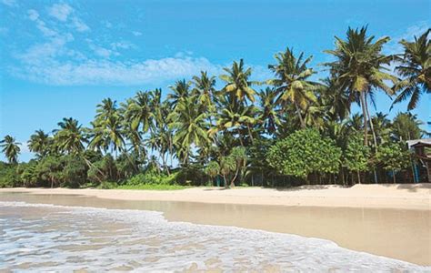 Sri Lanka Urlaub günstig buchen BILLA Reisen