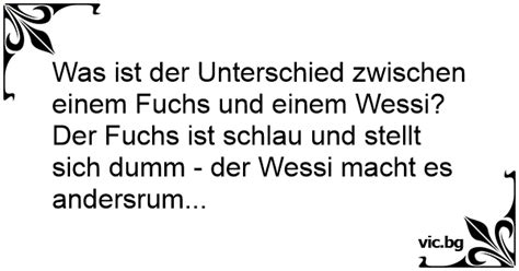 Was Ist Der Unterschied Zwischen Einem Fuchs Und Einem Wessi Der Fuchs