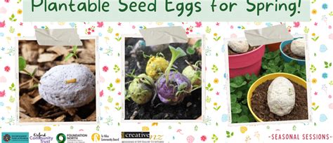 plantable seed eggs  spring kaitaia eventfinda