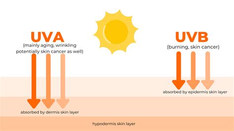 How To Choose Sunscreen For Sensitive Skin Cleure