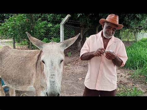 Seu valdo aqui sou feliz de tudo tenho um pouco essa jumenta e a xodó