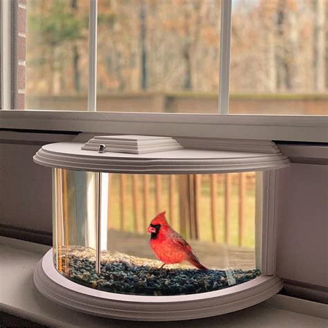 In Window Bird Feeders For Viewing 180 Clear View Bird Feeder