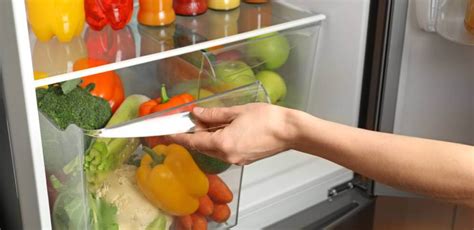 Cómo conservar frutas y verduras en casa