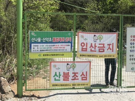 충북도 봄철 산림 내 불법행위 특별단속 Kns뉴스통신