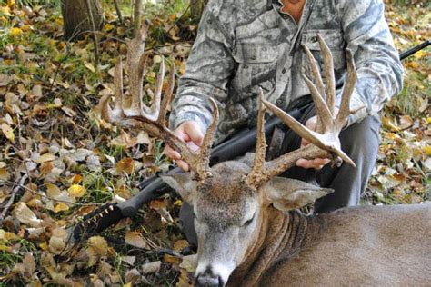 Whitetail Buck Photos At Rhino Hunt Club