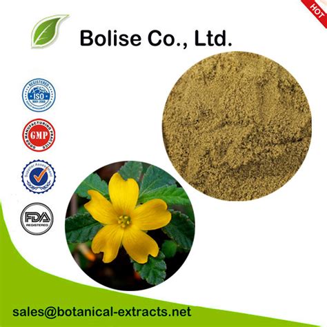 Damiana Extract, Suppliers,manufacturers,Damiana Extract Prices For ...