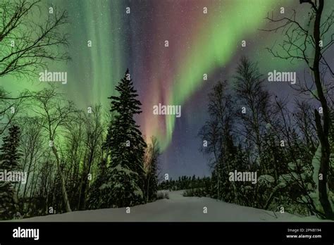 Aurora Borealis in the Northern Territories, Canada Stock Photo - Alamy