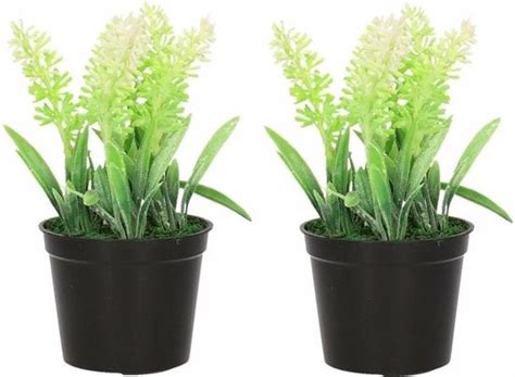 X Witte Lavandula Lavendel Kunstplant Cm In Zwarte Plastic Pot