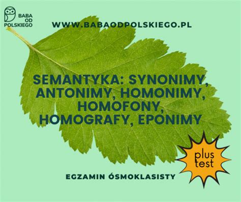 Semantyka Synonimy Antonimy Homonimy Homofony Homografy Eponimy