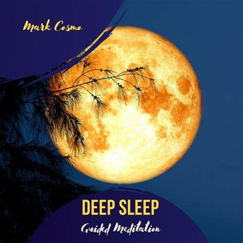 Deep Sleep Guided Meditation von Mark Cosmo Hörbuch Download