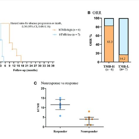 Association Of Clinical Outcome And Btmb In Nsclc Patients Received