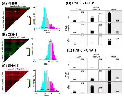 Jpm Free Full Text Rnf Cdh Co Expression Predicts Clinical