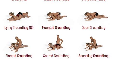 Groundhog Sex Positions Aka Prone Bone Album On Imgur