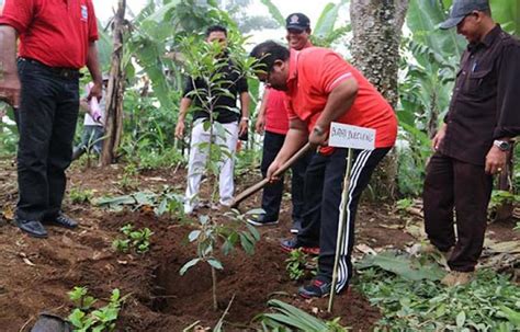 Gebyar Penanaman Pohon Dengan Sistim Adopsi Bni Di Hutan Desa Selat