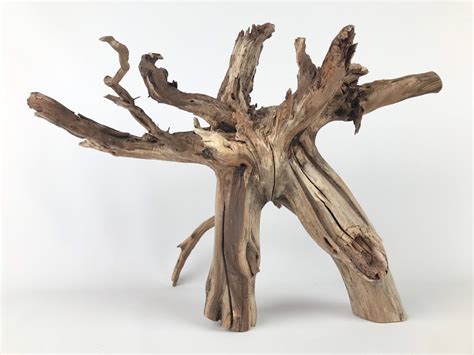 20 Manzanita Base With Roots Large Manzanita Driftwood Etsy