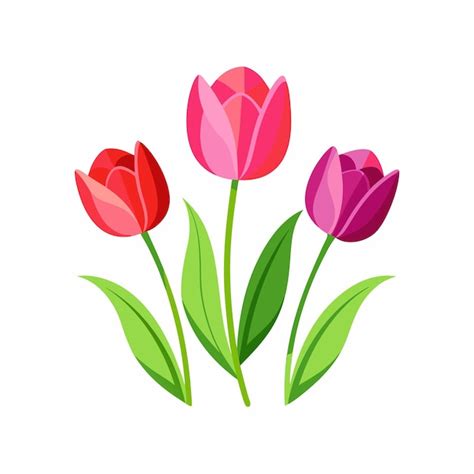 Premium Vector Vector Tulip Flower