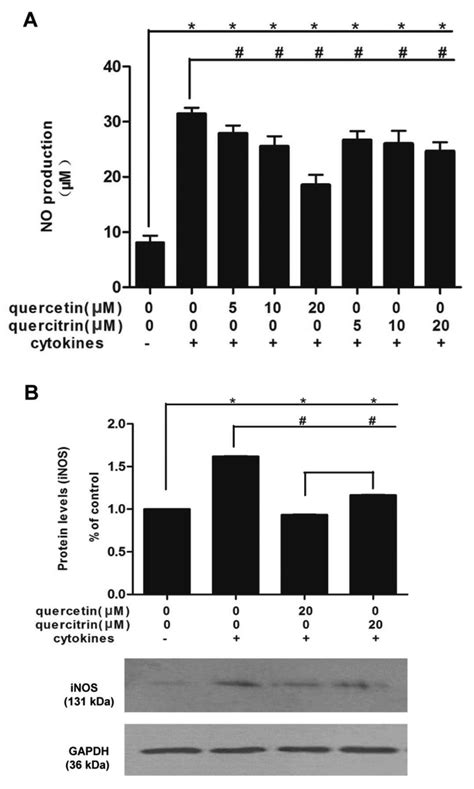 Quercetin And Quercitrin Protect Against Cytokine‑induced Injuries In