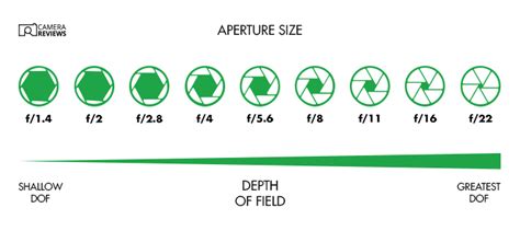 Basic Camera Settings For Beginners Explained Clearly