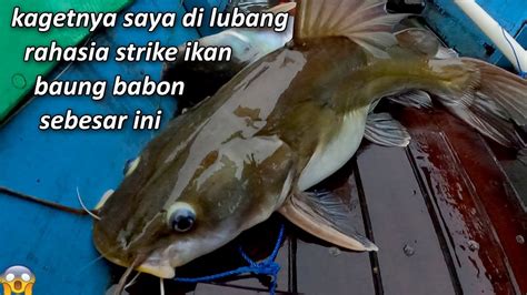 Alhamdulillah Walaupun Banyak Rintangan Mancing Ikan Patin Di Atas