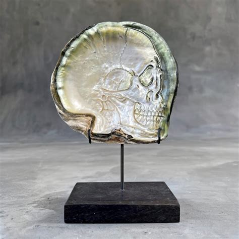 Beautiful Hand Carved Mother Of Pearl Shell Human Skull Catawiki