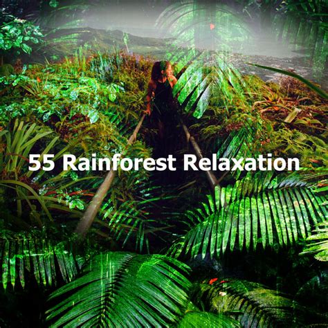 55 Rainforest Relaxation Album By Calming Rainforest Sounds Spotify