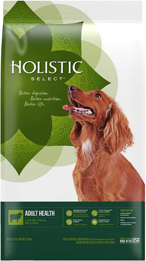 4 Best Brands of Holistic Dog Food: How to Buy Holistic