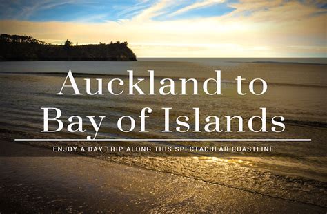 How To Enjoy The Drive From Auckland To Bay Of Islands