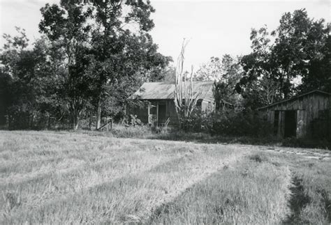 Pictures 2 Laura Plantation, Vacherie Louisiana