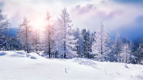 Winter Theme For Windows 10 & 11