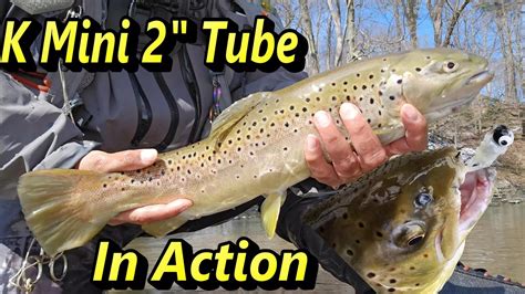 Erie PA Steelhead Fishing Using The Kumbo K Mini 2 Tube Multiple