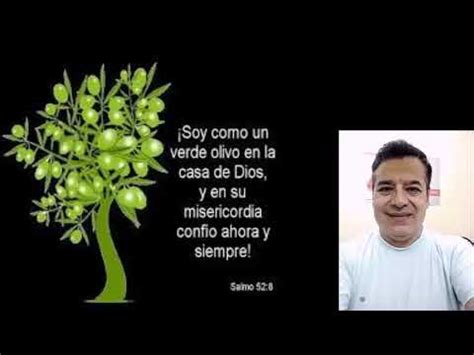 SALMO 52 DIOS TE PLANTÓ Y SERÁS CUIDADO POR ÉL YouTube