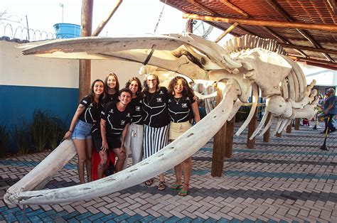 Espaço Baleia Jubarte Caravelas é o Mais Novo Centro Educativo do Projeto