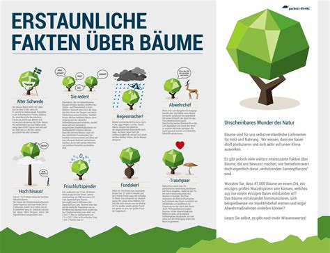 Erstaunliche Fakten über Bäume als Infografik. | Erstaunliche fakten