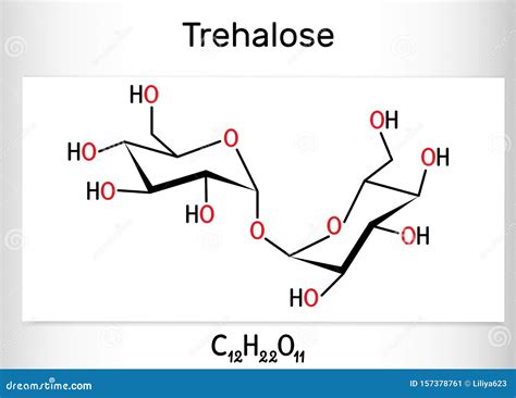 Trehalose Tremalose Carbohydrate Molecule Also Known As Mycose Is A