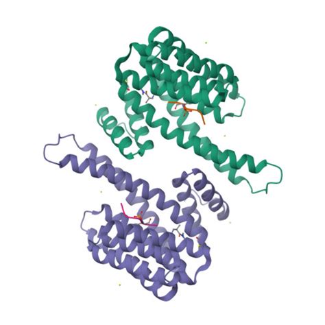 Rcsb Pdb 8ai0 Small Molecular Stabilizer For Eralpha And 14 3 3sigma