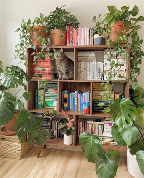 Plant Shelf Ideas That Are Perfectly Styled