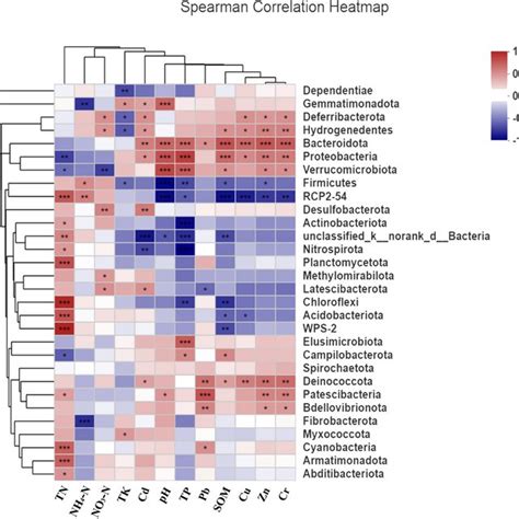 Canonical Correlation Analysis CCA Revealing The Correlations Between