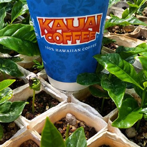 Kauai Coffee Company - Hawaii on a Map