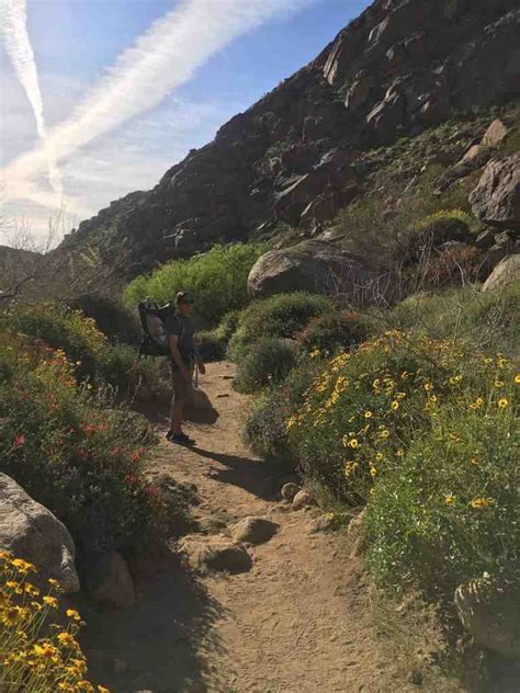 BORREGO SPRINGS HIKING - PALM CANYON - Mile Marker Memories