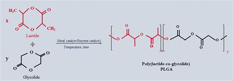 Chemical Structure Of Polylactic Co Glycolic Acid And Its Monomers