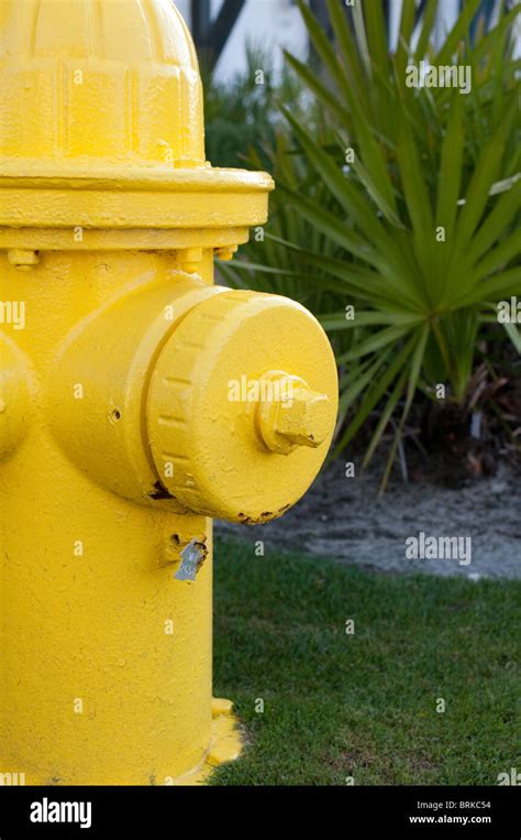 Bright Yellow Fire Hydrant On Hi Res Stock Photography And Images Alamy