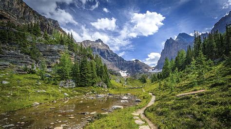 Swamp Green Grass Field Trees Rock Mountains Slope Under White Clouds