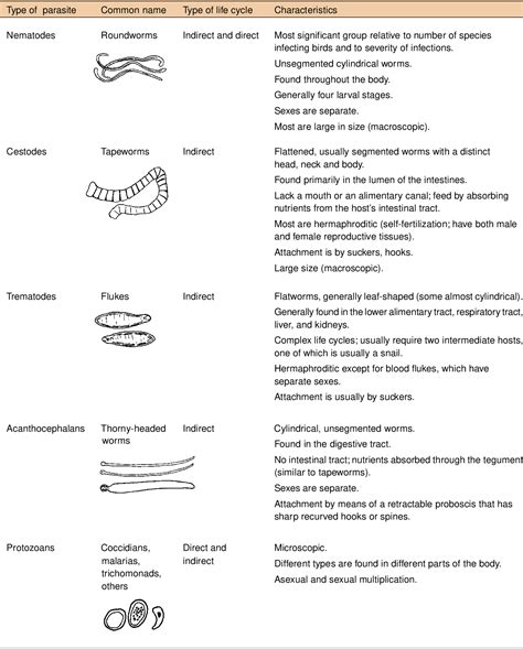 [PDF] Section 5 Parasites and Parasitic Diseases Hemosporidiosis